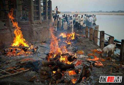 女子火化一半又复活了,人死后火化会疼吗?