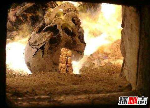 女子火化一半又复活了,人死后火化会疼吗?