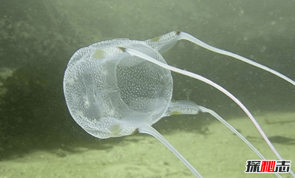 濒临死亡时,是什么感受?十大濒临死亡体验案例