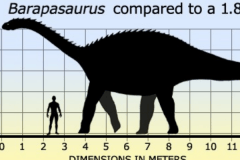 巨腿龙:印度超巨型恐龙(长18米/长有硕大