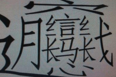 世界上最难写的汉字：“biang”字(简体