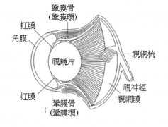 地球上最水火不容的生物是啥？仇怨长达