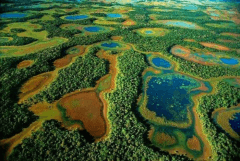 世界上最大的沼泽地 面积高达2500万公顷