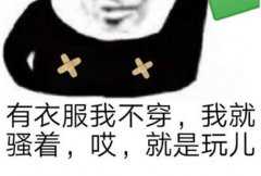 就是玩儿是什么梗 就是玩儿可以在哪些场