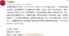 大学毕业生带小黄鸭坐火车被拒 火车为何不让带小黄鸭