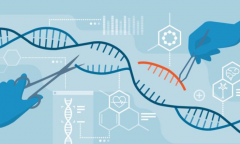 进化论可能并不是特别科学 科学家发现了